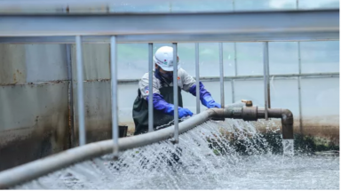  Dự án thử nghiệm thí điểm làm sạch sông Tô Lịch được Nhật tài trợ 100%