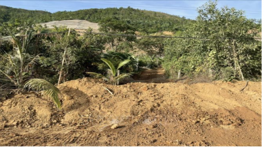  Đà Nẵng: Điều tra, làm rõ vụ khai thác đất trái phép dọc cao tốc La Sơn -Túy Loan