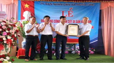  Cây đầu tiên tại huyện Nghĩa Hưng được công nhận Cây Di sản Việt Nam