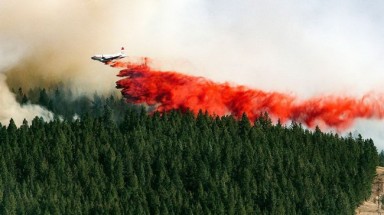  Nga phát triển mìn chống cháy rừng
