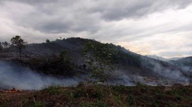 Hàng chục ha rừng trồng ở Đà Nẵng bị lửa thiêu rụi