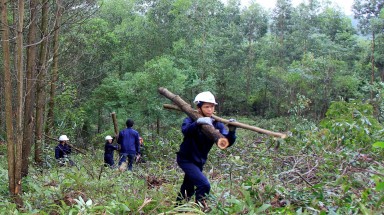 RAFT cùng các đối tác tổng kết thành tựu thúc đẩy quản lý rừng bền vững và thương mại gỗ hợp pháp tại Việt Nam