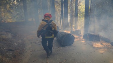  Vật lộn với 600 vụ cháy rừng, bang California cầu cứu