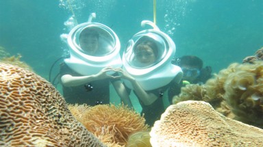 Những người bảo vệ san hô ở vịnh Quy Nhơn