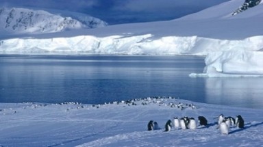 Nam Cực từng là vùng đất có nền nhiệt độ khá cao