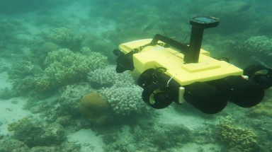  Bảo vệ môi trường: Australia sử dụng robot để bảo vệ rạn san hô lớn nhất thế giới 