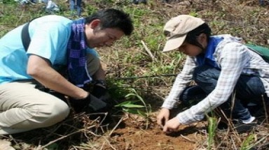 Huế: Tập đoàn AEON tổ chức trồng rừng tại Lăng Cô