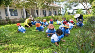  Số lượng cây xanh trong sân trường giúp cải thiện thành tích học tập