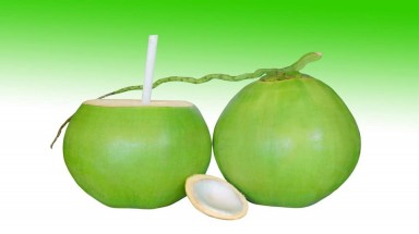 Ra mắt sản phẩm “Ống hút dừa làm từ nước dừa”
