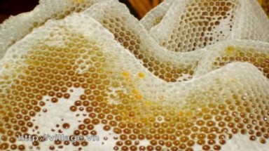 Giữ ẩm da bằng sáp ong