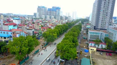 Hà Nội bắt đầu chặt hạ gần 1.300 cây xanh trên đường Phạm Văn Đồng