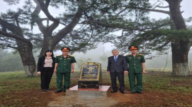  Nhiều cây cổ thụ vùng biên giới tỉnh Đắk Nông được công nhận là “Cây di sản Việt Nam”