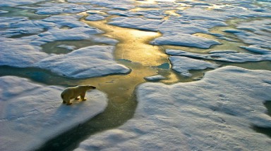  Biến đổi khí hậu: Băng ở Nam Cực đang tan nhanh hơn so với dự báo khoa học
