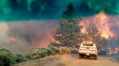  Algeria: Hơn 34.000 ha rừng bị cháy mỗi năm