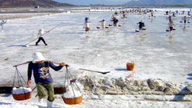  Biến 23.000 tấn muối công nghiệp thành muối ăn