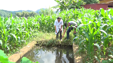  Bắc Kạn:Nước thải của Trung tâm Y tế huyện Ngân Sơn gây ô nhiễm 