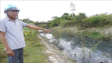  Bình Định: Nước thải từ Cụm công nghiệp Cát Trinh gây ô nhiễm trường học