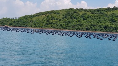 Hải Phòng: Cần sớm công bố quy chuẩn, lựa chọn công nghệ uy tín phục vụ nuôi hải sản ở các vịnh thuộc quần đảo Cát Bà
