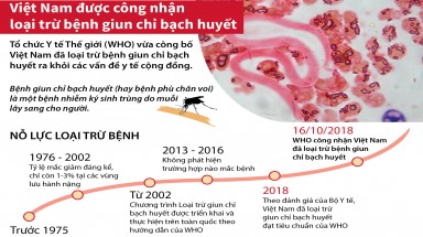  Đồ hoạ:Việt Nam được công nhận loại trừ bệnh giun chỉ bạch huyết