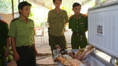  Phát hiện hàng trăm động vật hoang dã trong quán nhậu ở Đồng Nai