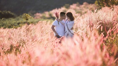  Ngoài Đà Lạt, còn nơi nào có đồi cỏ hồng đẹp mê mẩn?