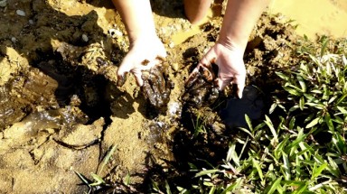   Suối Đồng Bãi đầy “bùn đen” vì Viwasupco xả nước thải