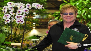  Hoa lan mang tên danh ca Elton John