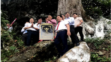  Lễ đón Bằng công nhận và gắn bia Cây Di sản Việt Nam cho cây Nghiến trên 1000 năm tuổi tại tỉnh Cao Bằng
