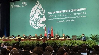 COP 15 và tham vọng về bảo tồn đa dạng sinh học trong thập kỷ tới