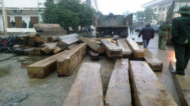  Hà Nội: Bộ đội bắt hai xe tải chở đầy gỗ lậu