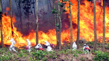   Lâm Đồng: Diễn tập phòng chống chữa cháy rừng trong mùa khô 