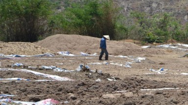  Gia Lai: Nhà máy tinh bột sắn xả thải gây ô nhiễm môi trường 