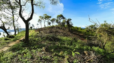 Điện Biên: Xử phạt doanh nghiệp 100 triệu đồng về hành vi hủy hoại rừng đặc dụng