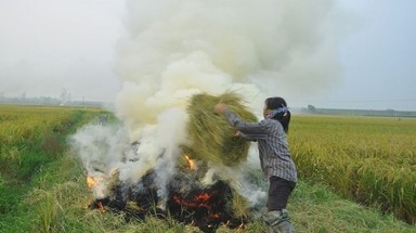  4 giải pháp khắc phục ô nhiễm cho Hà Nội, TPHCM