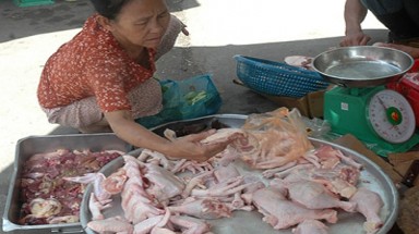 Cảnh báo thịt gà chứa chất độc tại các chợ
