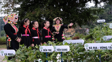 Vinamilk và Quỹ 1 triệu cây xanh cho Việt Nam trồng được 1.121.000 cây xanh tại 56 địa điểm trên cả nước