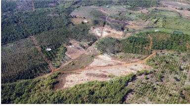 Đắk Nông:Một dự án nông lâm nghiệp để mất hơn 400 ha rừng tự nhiên