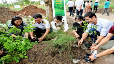  HANE: Khởi động chương trình "Một triệu cây vì biển đảo tổ quốc, vì quê hương Việt Nam xanh”.