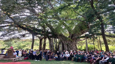  Độc đáo cây di sản Việt Nam: Kỳ vĩ cây đa làng Ghè