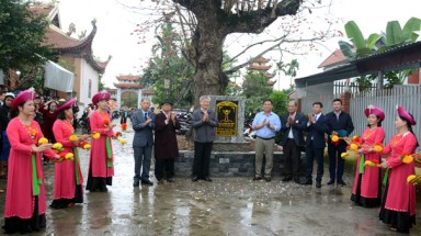  Cây Bàng bên ngôi đình thờ danh tướng thời nhà Mạc được vinh danh Cây Di sản Việt Nam