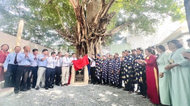  Bình Dương: Đình thần Tương Bình Hiệp đón bằng công nhận “Cây di sản Việt Nam” đối với cây Kơ - nia và cây đa
