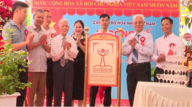 Cây Hoa nhài đầu tiên được công nhận Cây Di sản Việt Nam