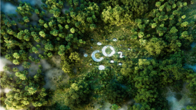  Có rừng là có tín chỉ carbon?