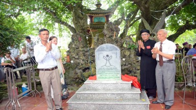  Ba cây Ruối cổ quần tụ trước ngôi đình thời Lý- Trần ở Hải Phòng được công nhận Cây Di sản Việt Nam