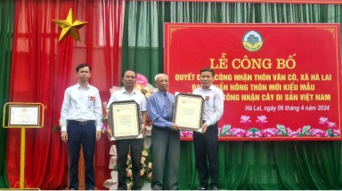 Ba cây ở Hà Trung - Thanh Hóa được công nhận là Cây Di sản Việt Nam 
