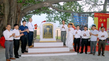  Quảng Nam:Cây Đa nơi trú ẩn của quân dân qua 2 cuộc kháng chiến được công nhận Cây Di sản Việt Nam