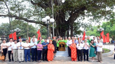  3 cây cổ thụ trên đất “Tam Hưng Anh Dũng” được công nhận Cây Di sản Việt Nam 