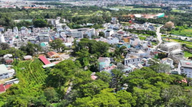  Bộ Công an yêu cầu Lâm Đồng, Quảng Ngãi, Đắk Lắk cung cấp hồ sơ dự án cây xanh đô thị
