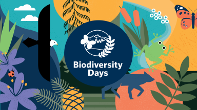  Nhiều hoạt động hưởng ứng Ngày Quốc tế Đa dạng sinh học 2023
