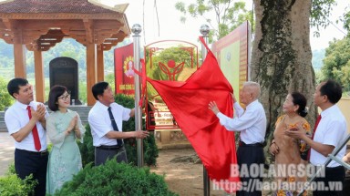  Lạng Sơn công nhận 10 cây di sản trên địa bàn huyện Cao Lộc